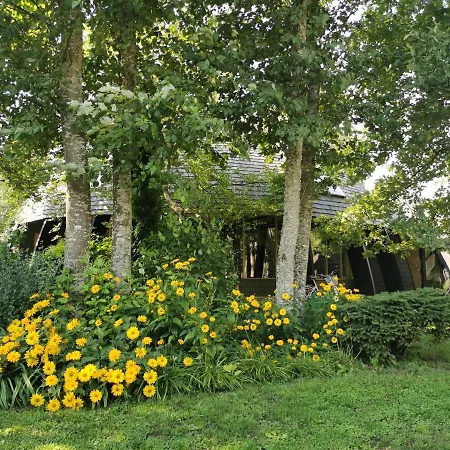 Guest house Kupolmaja Arpus Laika - Domehouse In The Forest Tinuzi