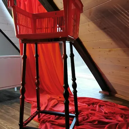 Kupolmaja Arpus Laika - Domehouse In The Forest Guest house
