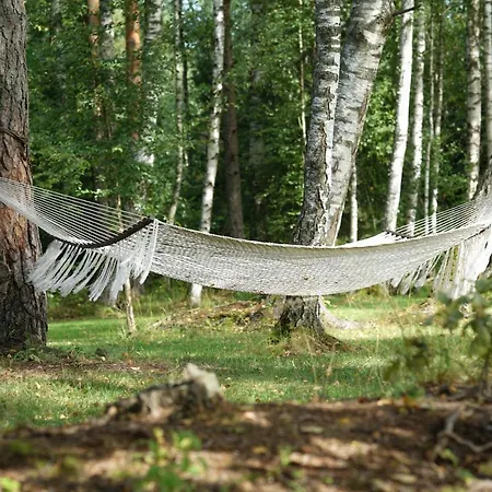 Kupolmaja Arpus Laika - Domehouse In The Forest Gæstehus Tinuzi